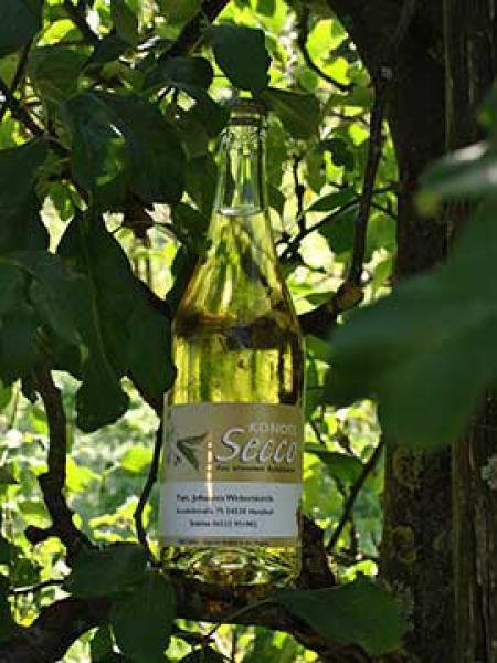 Apfelsecco - Fruchtsüss